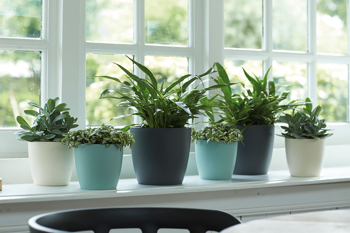 brussels rund 16cm mint